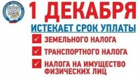 "Уважаемые налогоплательщики! Срок уплаты имущественных налогов за 2024 год истекает 1 декабря 2025 года."